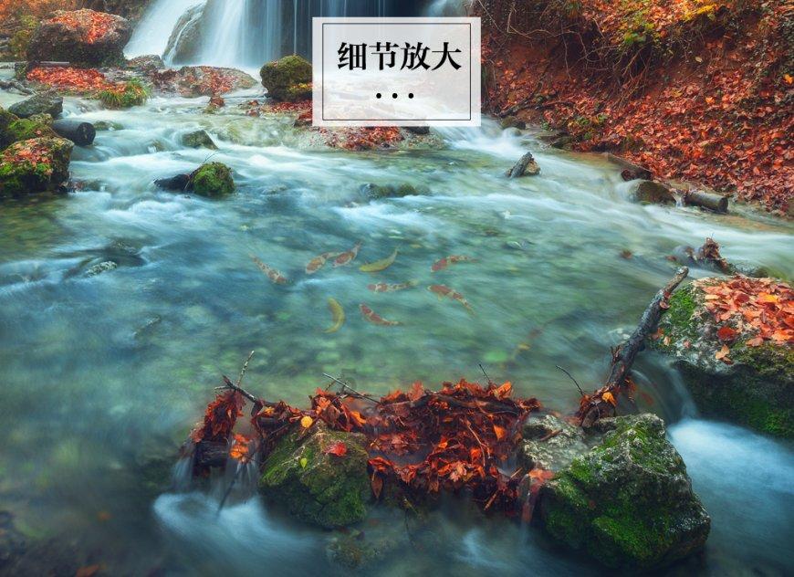 组装机械警暴龙2